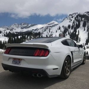 Meet your Posher, Ming